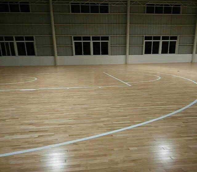 實木運動国产日皮视频