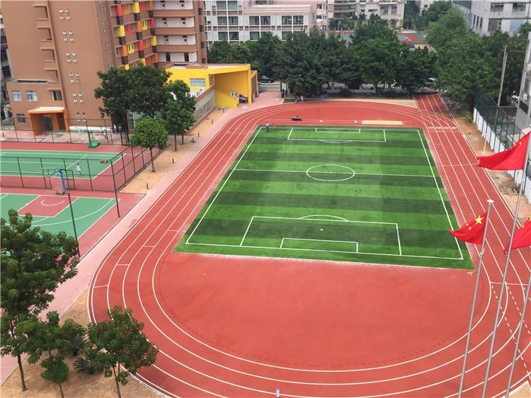 男女日皮视频免费跑道