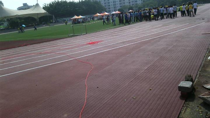 男女日皮视频免费跑道
