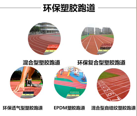 男女日皮视频免费跑道