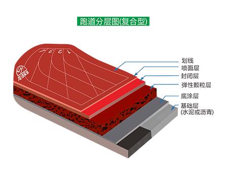 複合型男女日皮视频免费跑道結構
