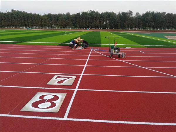男女日皮视频免费跑道