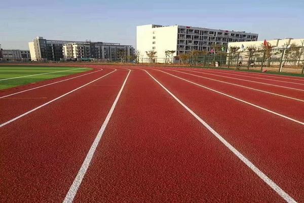 男女日皮视频免费跑道
